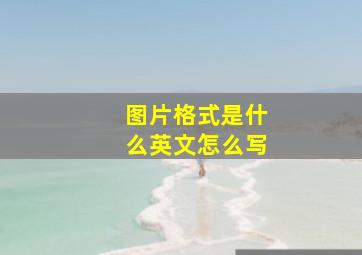 图片格式是什么英文怎么写