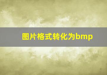 图片格式转化为bmp