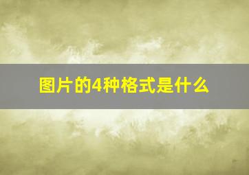 图片的4种格式是什么