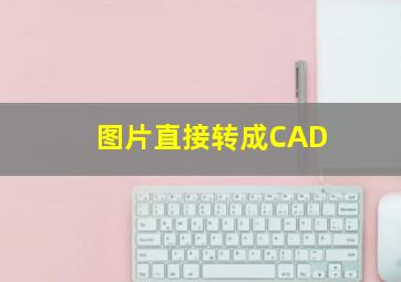 图片直接转成CAD