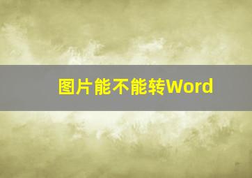 图片能不能转Word