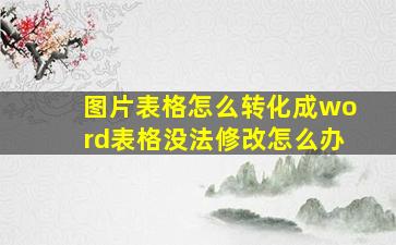 图片表格怎么转化成word表格没法修改怎么办