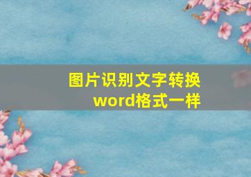 图片识别文字转换word格式一样