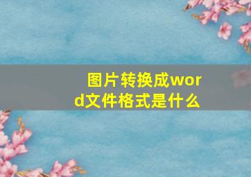 图片转换成word文件格式是什么