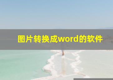 图片转换成word的软件