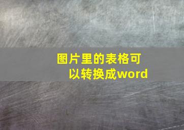 图片里的表格可以转换成word