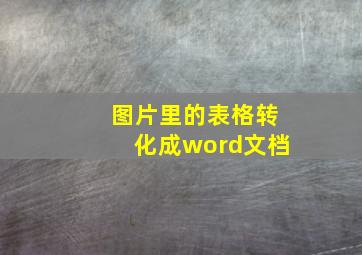 图片里的表格转化成word文档