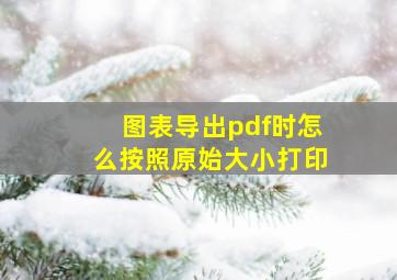 图表导出pdf时怎么按照原始大小打印