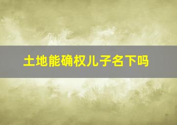 土地能确权儿子名下吗