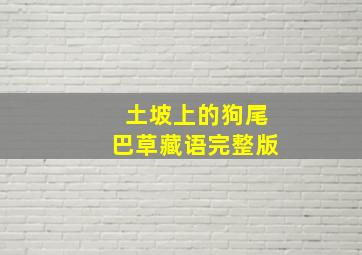 土坡上的狗尾巴草藏语完整版