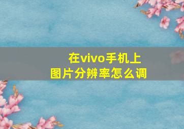 在vivo手机上图片分辨率怎么调