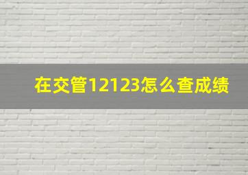 在交管12123怎么查成绩