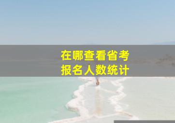 在哪查看省考报名人数统计