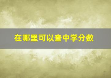 在哪里可以查中学分数