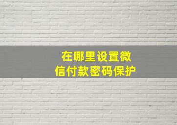 在哪里设置微信付款密码保护