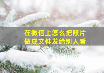 在微信上怎么把照片做成文件发给别人看