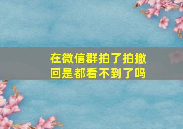 在微信群拍了拍撤回是都看不到了吗