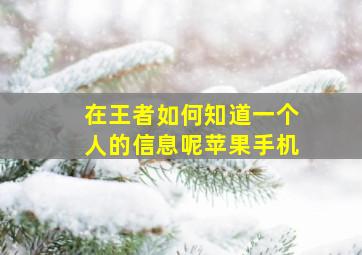 在王者如何知道一个人的信息呢苹果手机