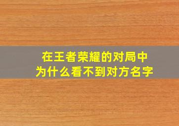 在王者荣耀的对局中为什么看不到对方名字