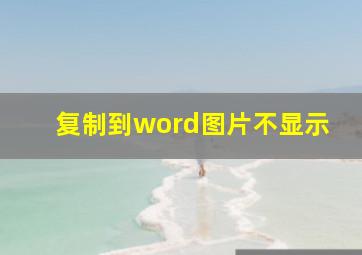 复制到word图片不显示