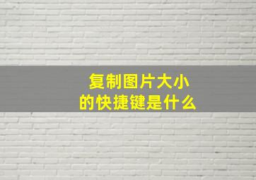 复制图片大小的快捷键是什么