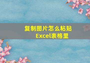 复制图片怎么粘贴Excel表格里