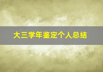 大三学年鉴定个人总结