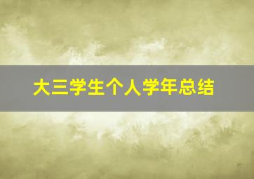 大三学生个人学年总结