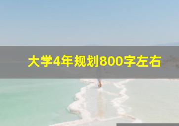 大学4年规划800字左右