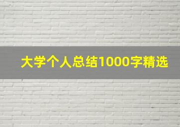 大学个人总结1000字精选