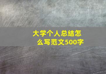 大学个人总结怎么写范文500字