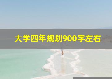 大学四年规划900字左右