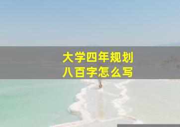 大学四年规划八百字怎么写