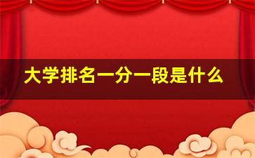 大学排名一分一段是什么