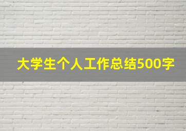 大学生个人工作总结500字