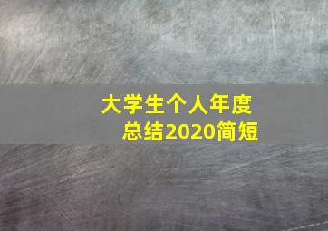 大学生个人年度总结2020简短