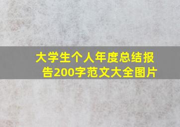 大学生个人年度总结报告200字范文大全图片