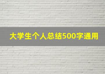 大学生个人总结500字通用