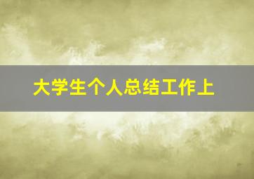 大学生个人总结工作上