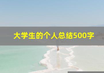 大学生的个人总结500字