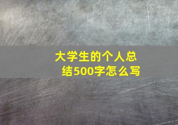 大学生的个人总结500字怎么写