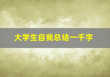 大学生自我总结一千字