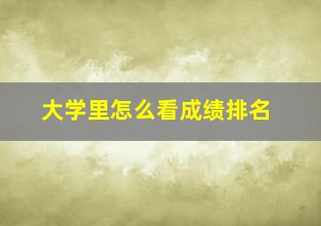 大学里怎么看成绩排名