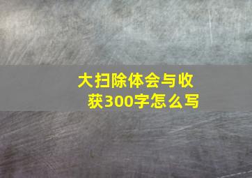 大扫除体会与收获300字怎么写