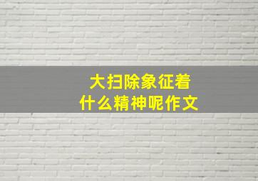 大扫除象征着什么精神呢作文