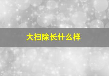 大扫除长什么样