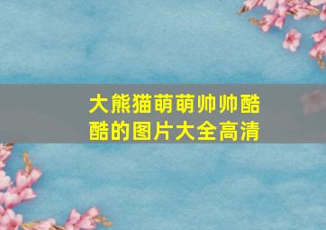 大熊猫萌萌帅帅酷酷的图片大全高清