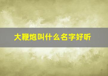 大鞭炮叫什么名字好听