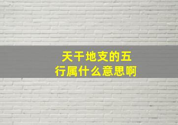 天干地支的五行属什么意思啊