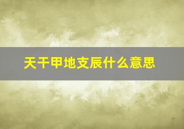 天干甲地支辰什么意思